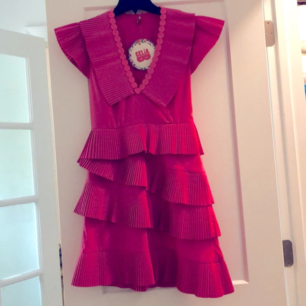 Celia B dress